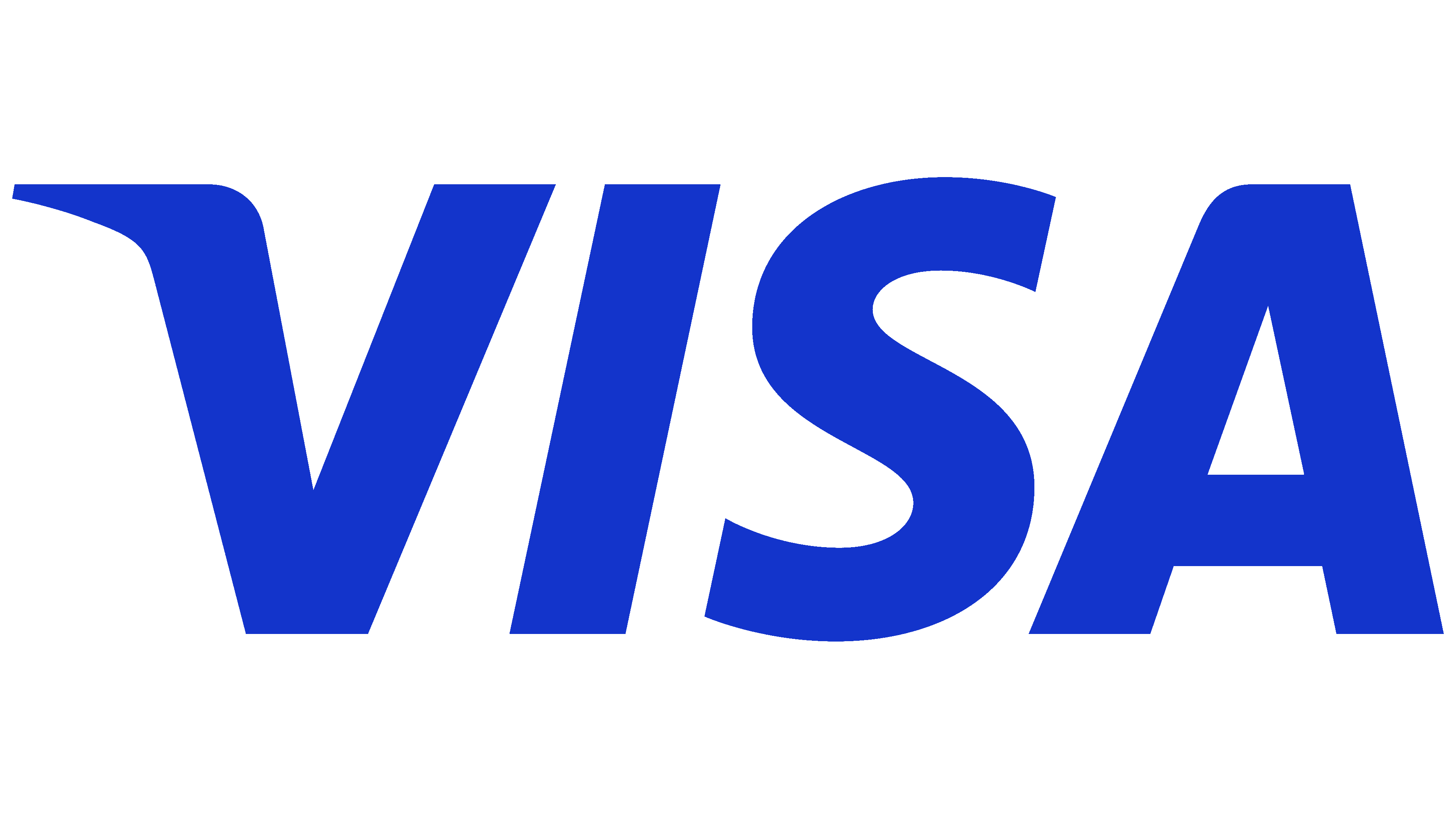 Visa Payment Accepted