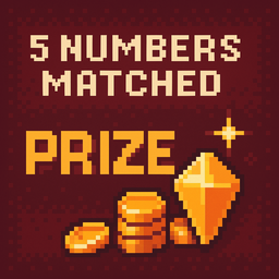 5 Numbers Matched